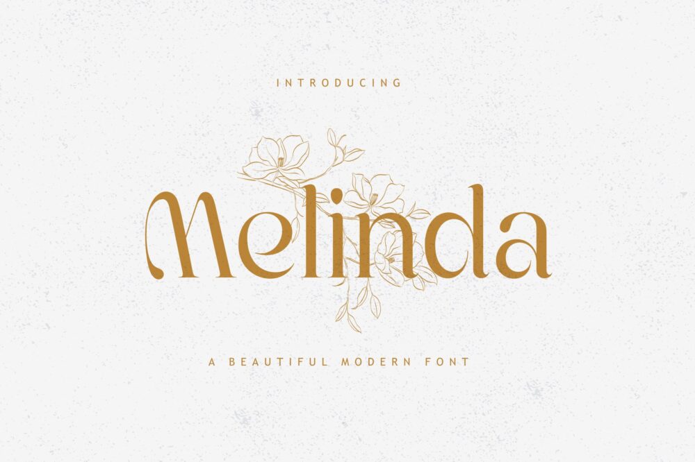Elegant Modern Font