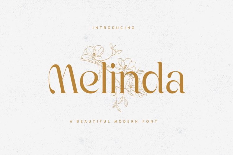 Elegant Modern Font
