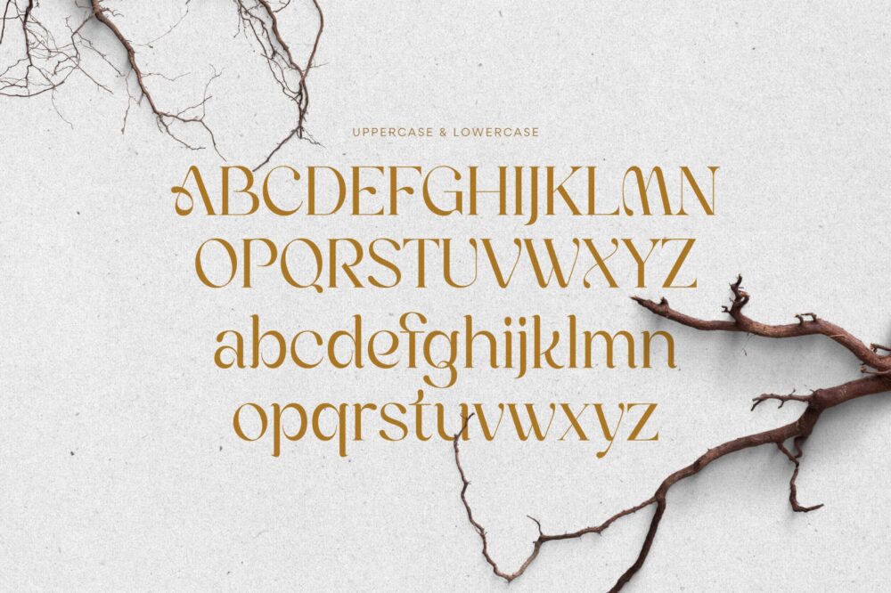 Elegant Modern Font