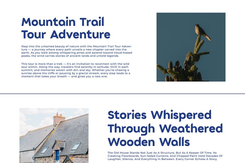 Bold Display Sans Serif Font