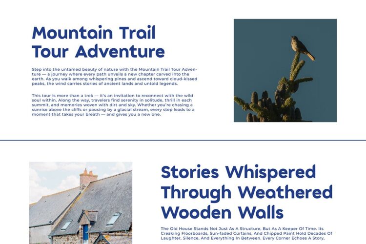 Bold Display Sans Serif Font