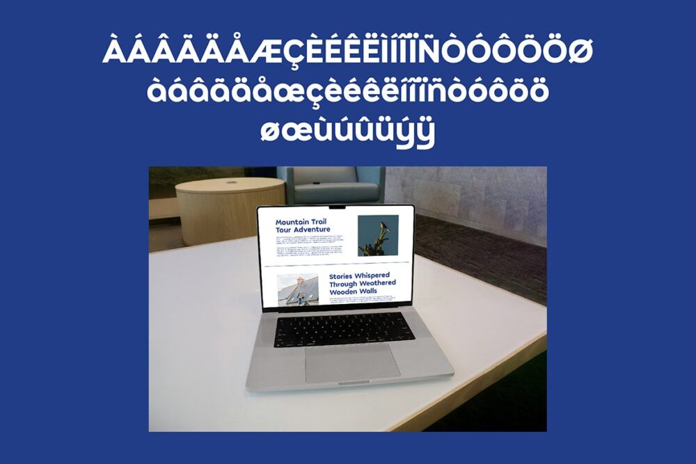 Bold Display Sans Serif Font