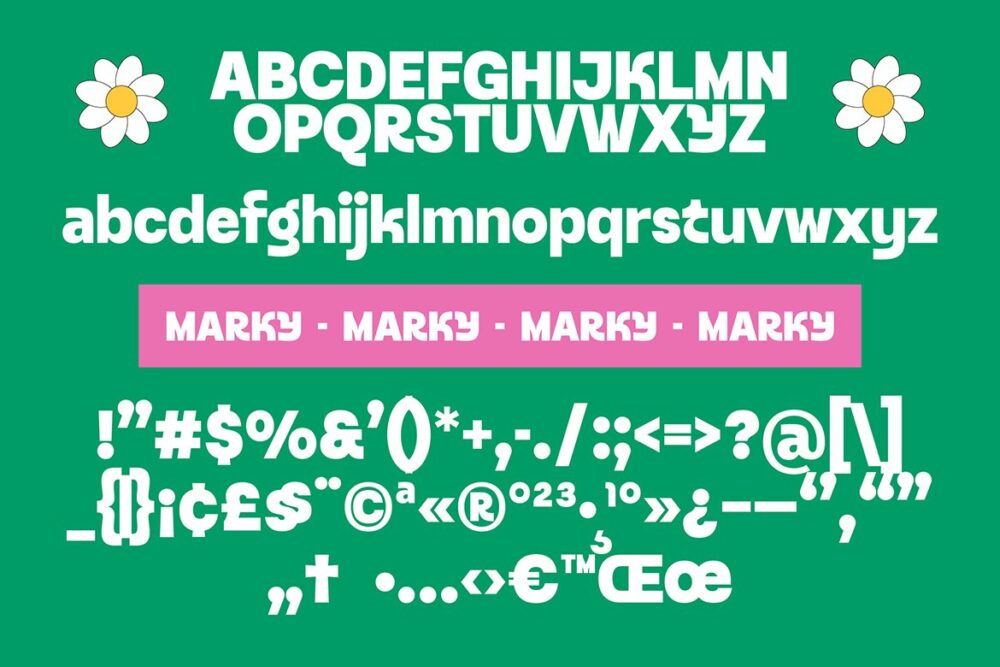 Modern Bold Sans Serif Font