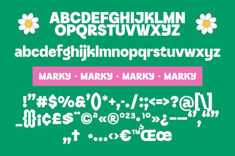 Modern Bold Sans Serif Font