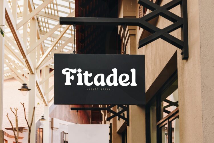 modern display serif font