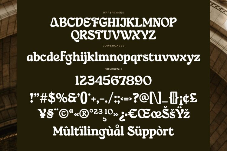 modern display serif font