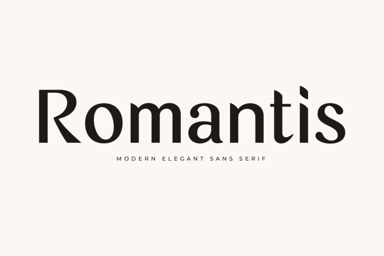 Modern Elegant Sans Serif Font