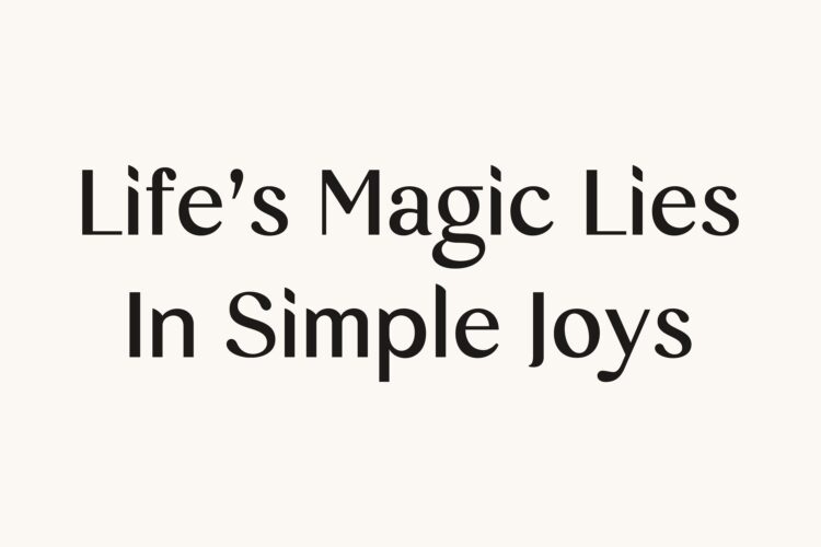 Modern Elegant Sans Serif Font