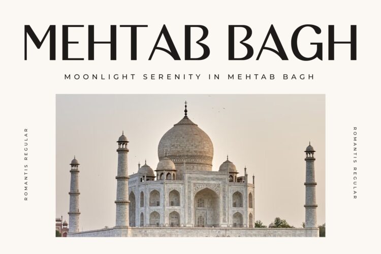 Modern Elegant Sans Serif Font