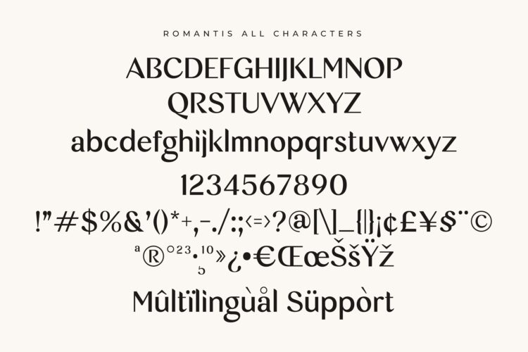 Modern Elegant Sans Serif Font